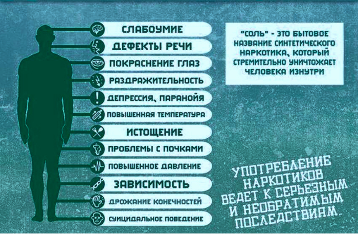 Картинка про спайсы